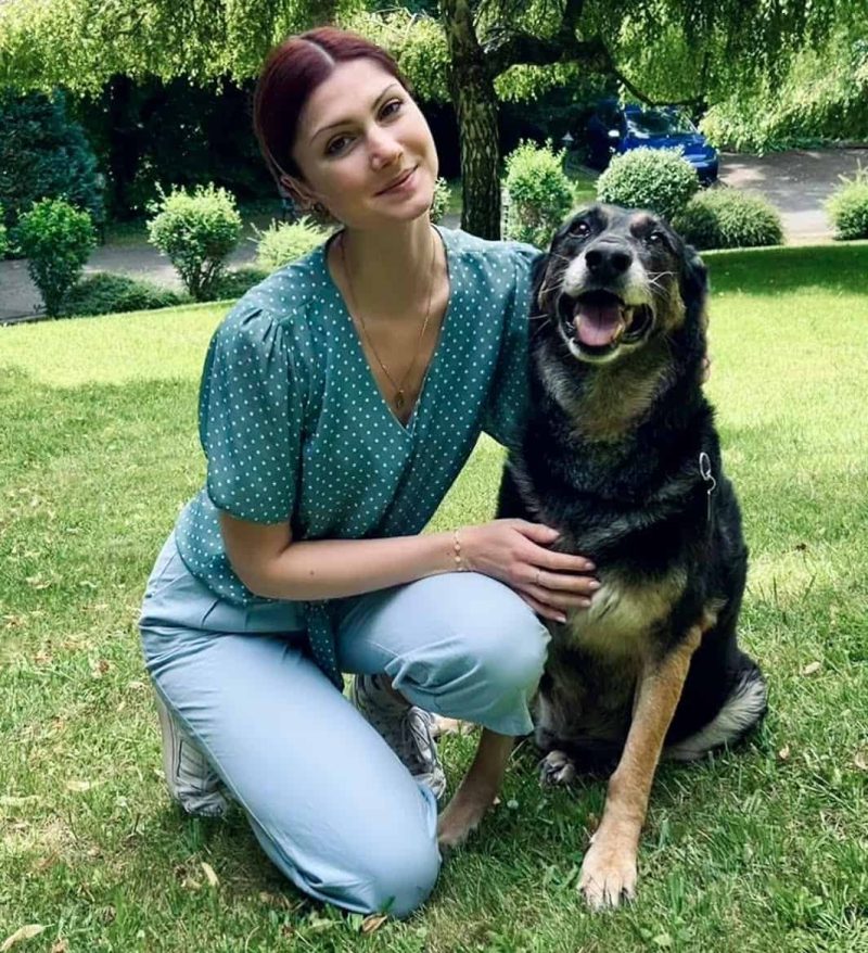 bilan senior chien 2